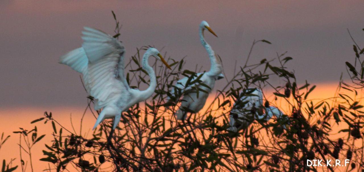 Pacaya Samiria Amazon Lodge Nauta Luaran gambar