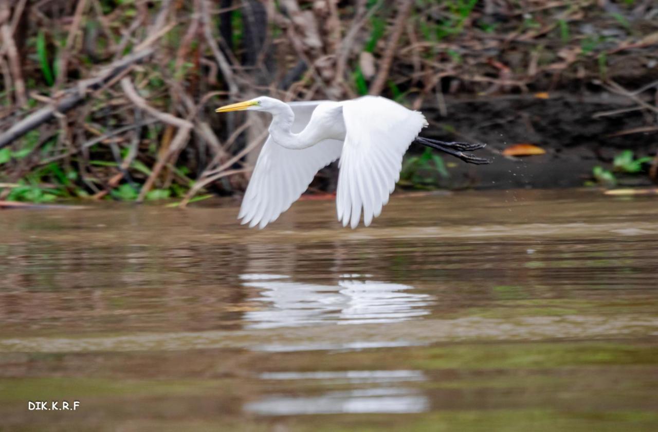 Pacaya Samiria Amazon Lodge Nauta Luaran gambar