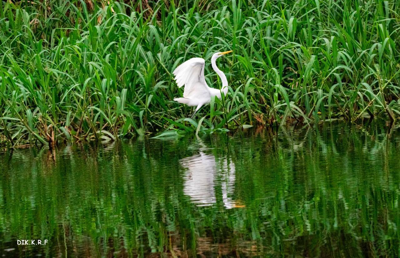 Pacaya Samiria Amazon Lodge Nauta Luaran gambar